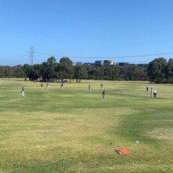 Cricket Ground