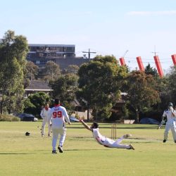 Cricketers fielding